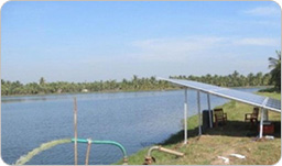 太阳能农业灌溉